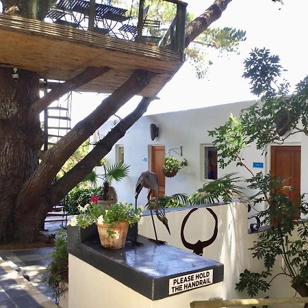Oceangolf Guest House Noordhoek Exterior foto